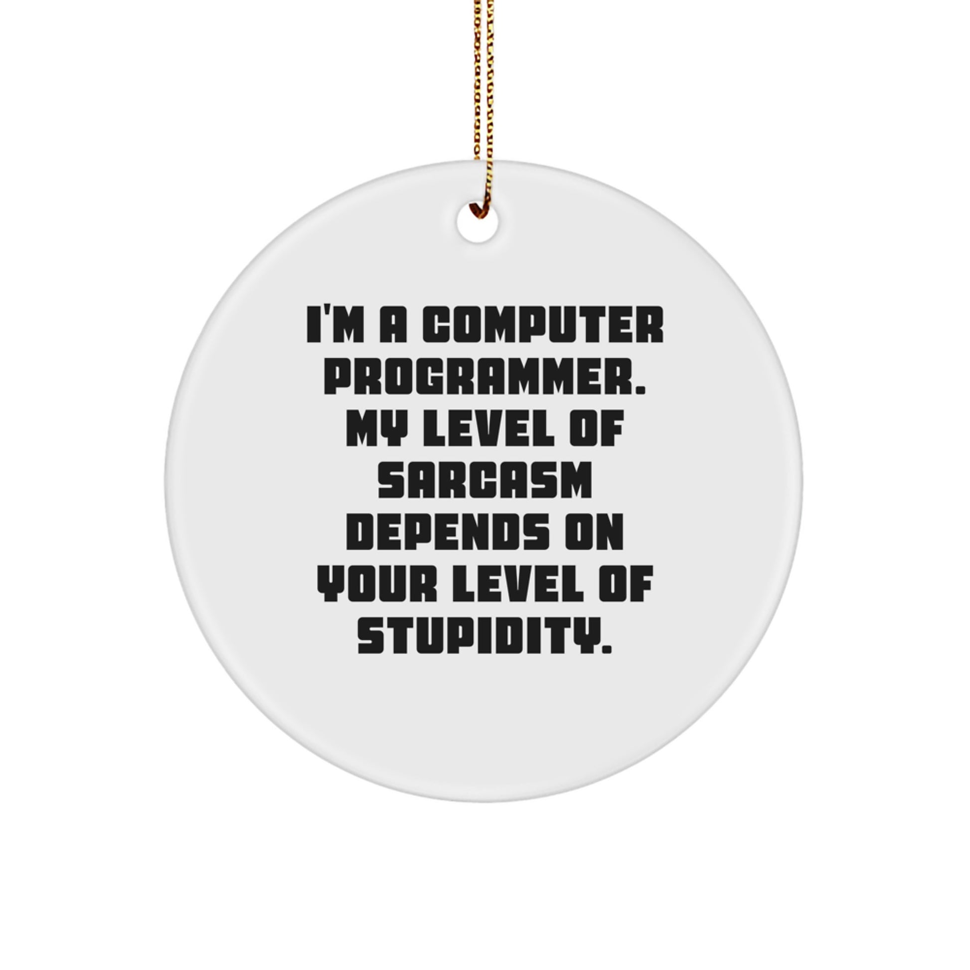 Funny Computer Programmer Circle Ornament for Christmas Unique Gifts from Friends to Family - Image 1