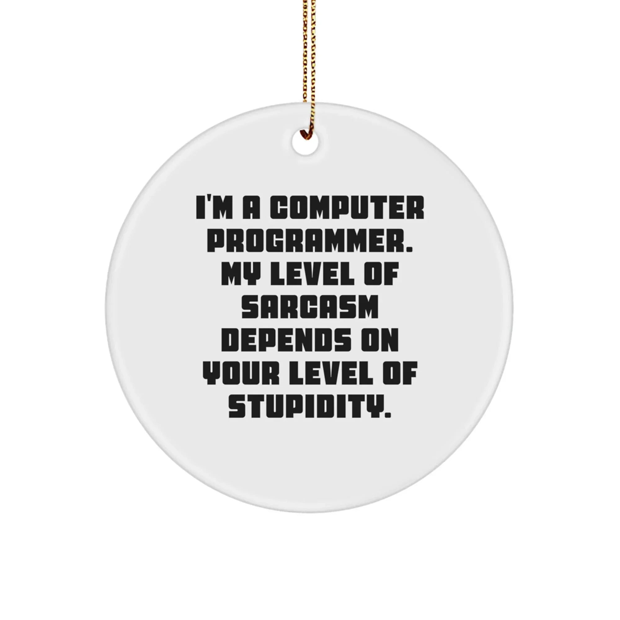 Funny Computer Programmer Circle Ornament for Christmas Unique Gifts from Friends to Family