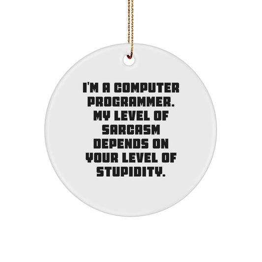 Funny Computer Programmer Circle Ornament for Christmas Unique Gifts from Friends to Family - Image 1