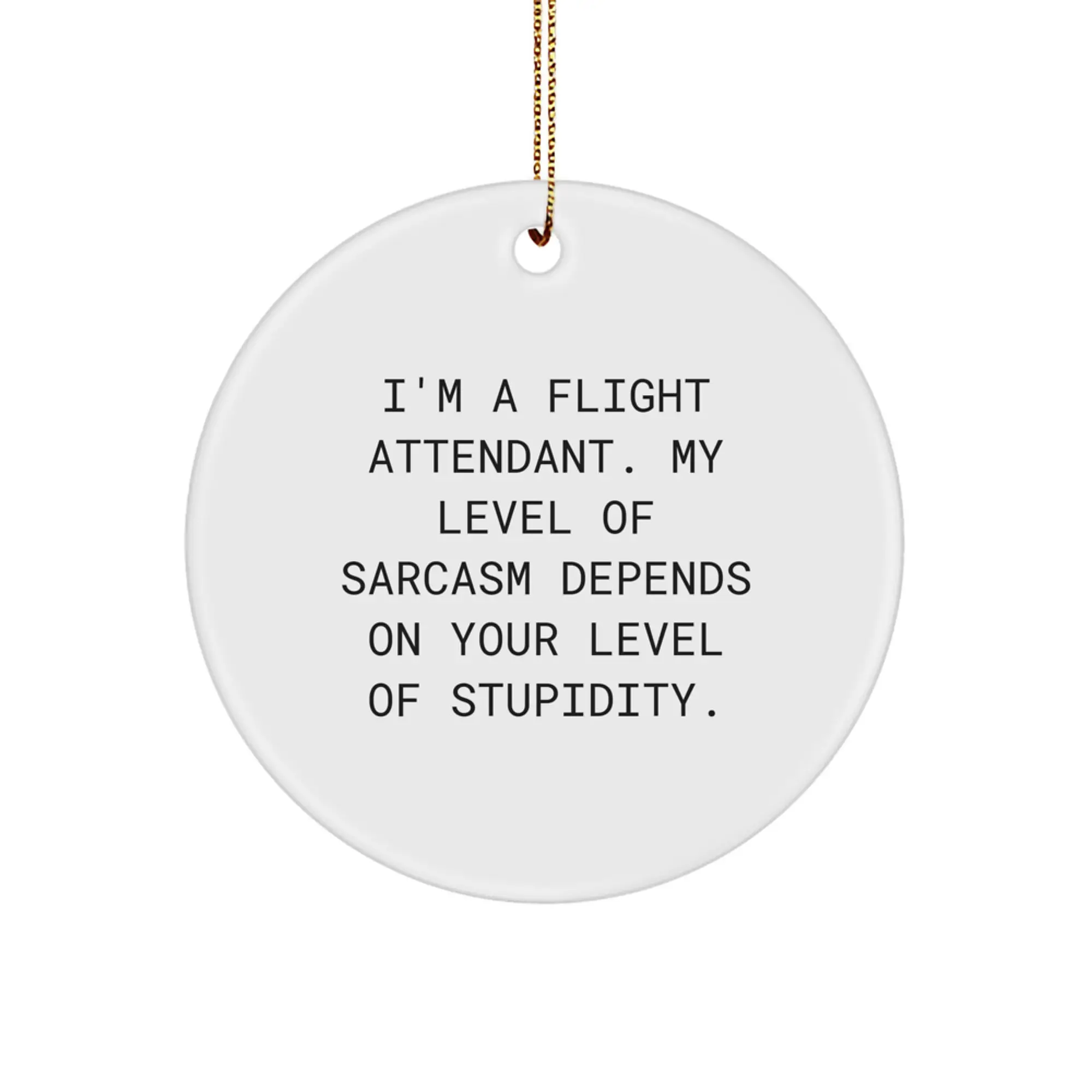 Funny Flight Attendant Gifts for Coworkers, Unique Circle Ornament with Sarcasm Quote, Christmas Unique Gifts from Friends - Image 1