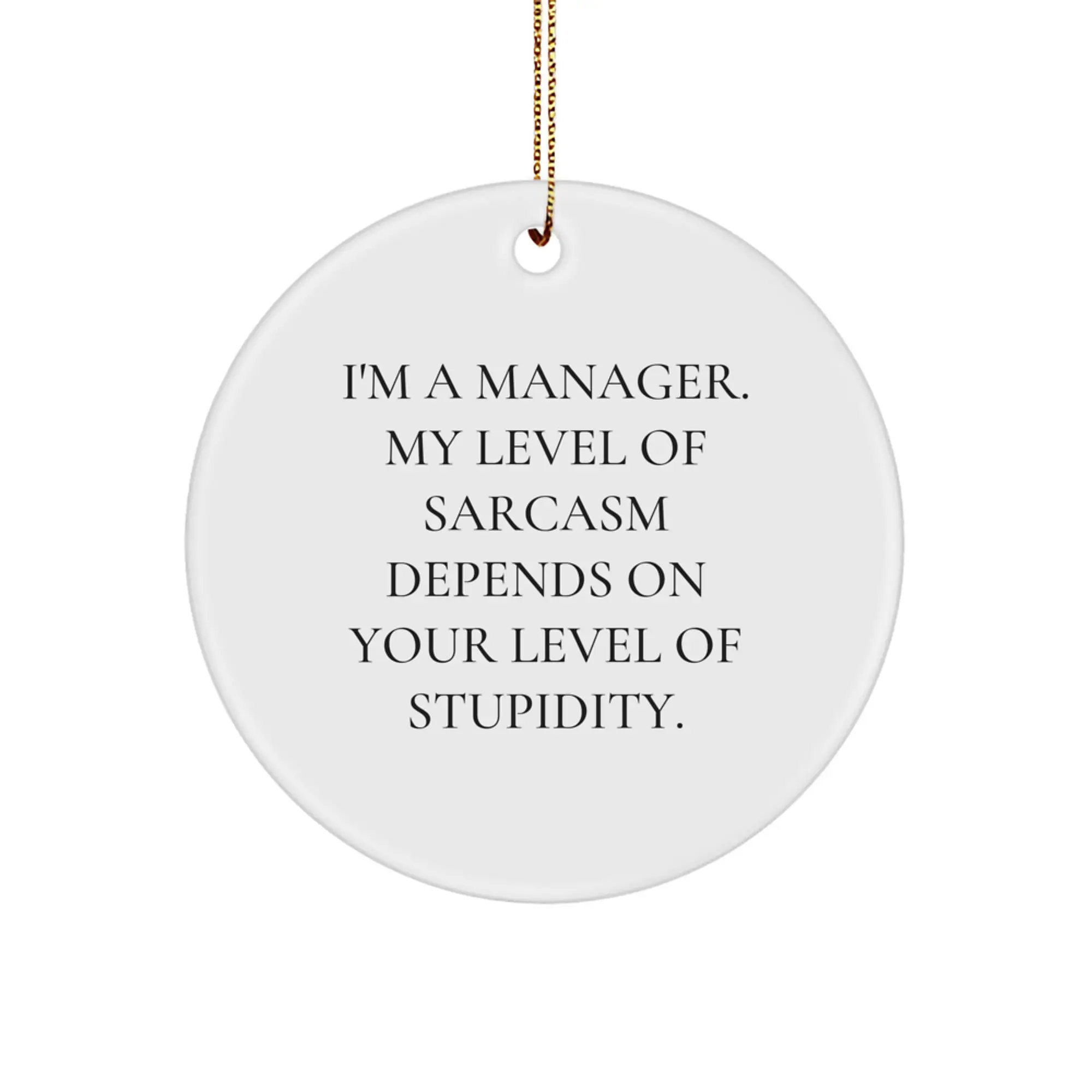 Funny Manager Gifts for Men, 'I'm A Manager. My Level Of Sarcasm Depends On Your Level Of Stupidity.' Circle Ornament, Christmas Unique Gifts from Friends, Coworkers - Image 1