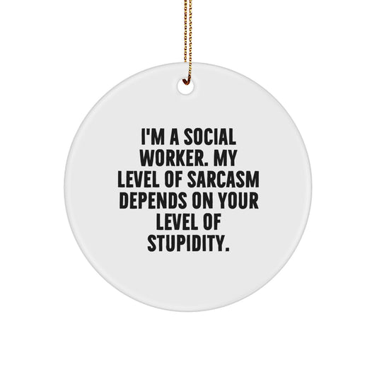 Funny Social Worker Christmas Unique Gifts from Friends for Social Worker Circle Ornament - Image 1
