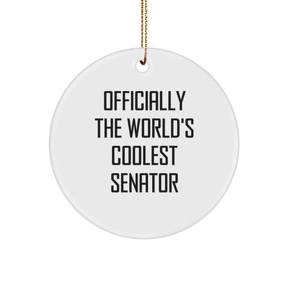 Funny Senator Circle Ornament Gifts from Friends for Men, Women Senator Unique Christmas Unique Gifts - Image 1
