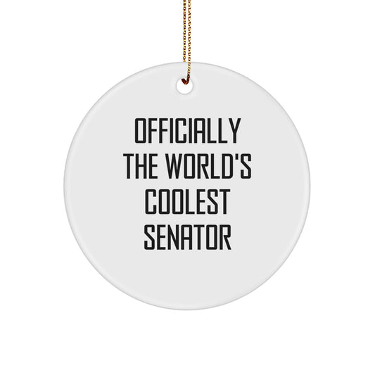 Funny Senator Circle Ornament Gifts from Friends for Men, Women Senator Unique Christmas Unique Gifts - Image 1