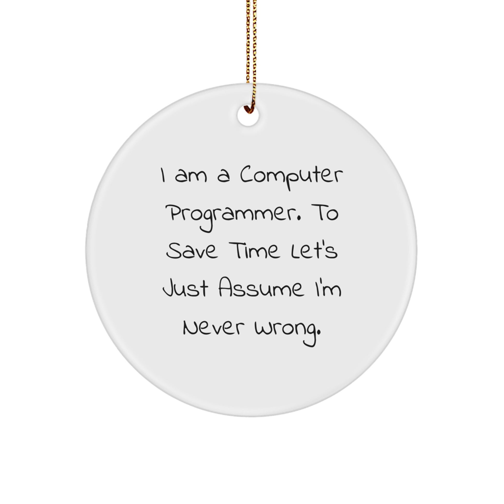 Funny Computer Programmer Gifts for Men, Christmas Unique Circle Ornaments, I'm Never Wrong Quote, Gifts from Friends for Family - Image 1