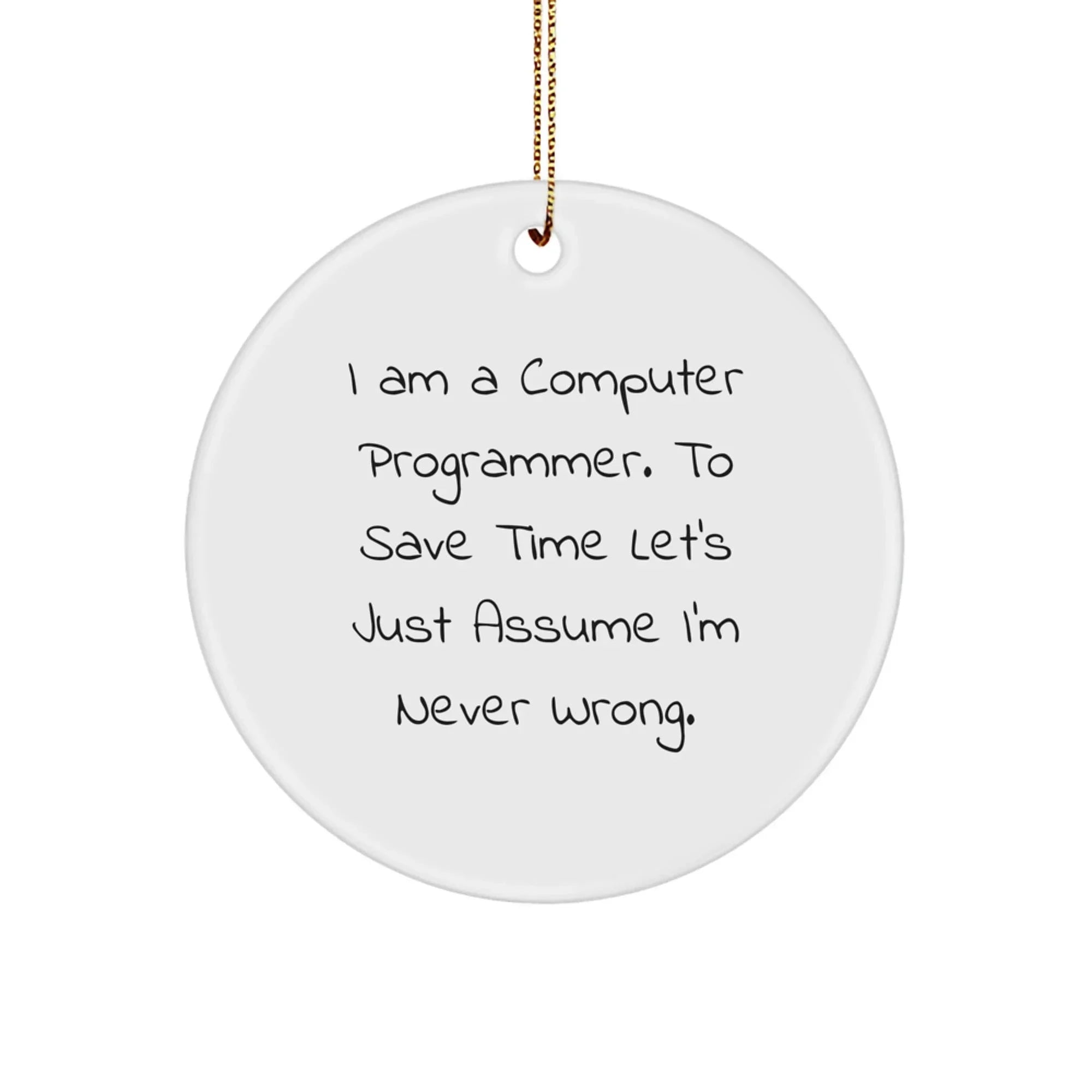 Funny Computer Programmer Gifts for Men, Christmas Unique Circle Ornaments, I'm Never Wrong Quote, Gifts from Friends for Family