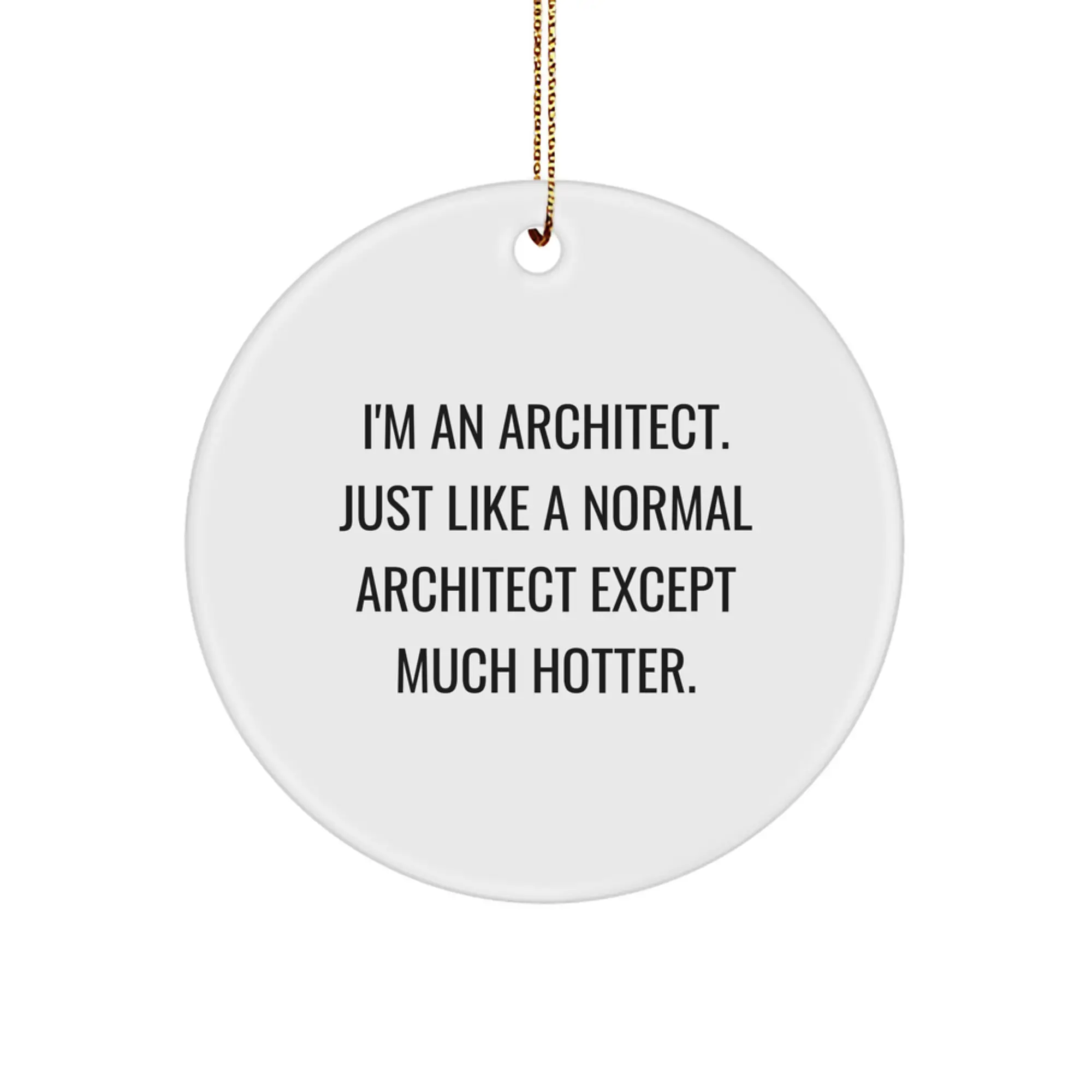 Funny Architect Gifts from Friends, Unique Circle Ornament for Architects, Christmas Decor - Image 1