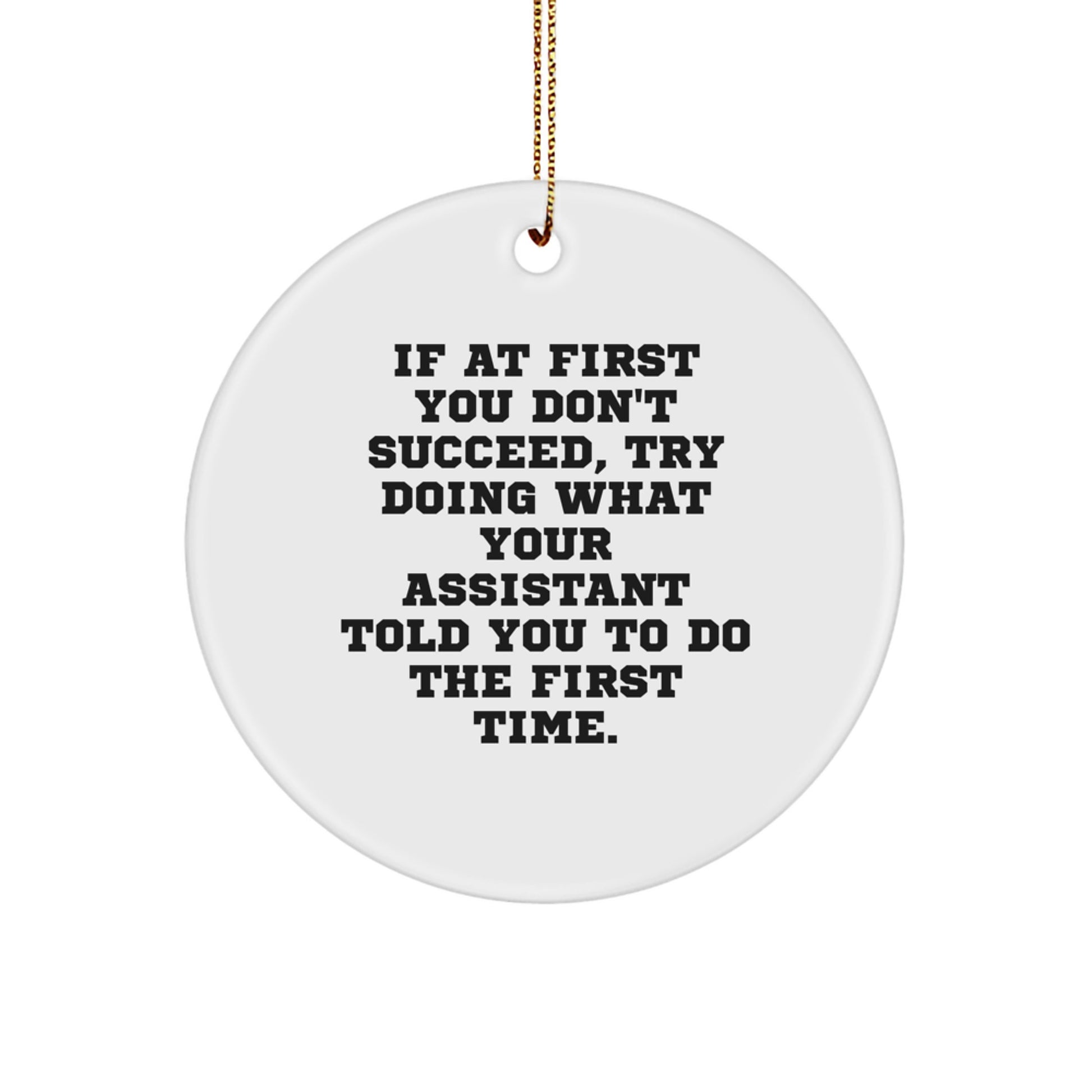 Funny Assistant Gifts from Friends for Christmas Unique Circle Ornament with If At First You Don't Succeed Quote - Image 1