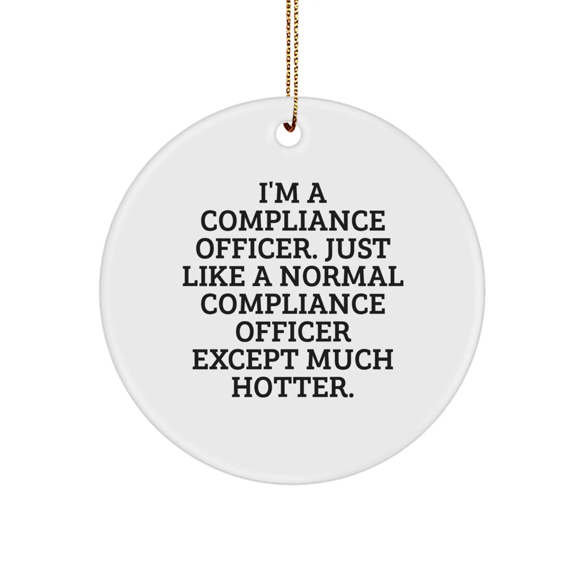 Funny Compliance Officer Gifts for Men, Unique Circle Ornament, I'm A Compliance Officer Except Much Hotter, Gift from Coworker, Compliance Officer Christmas Unique Gifts - Image 1