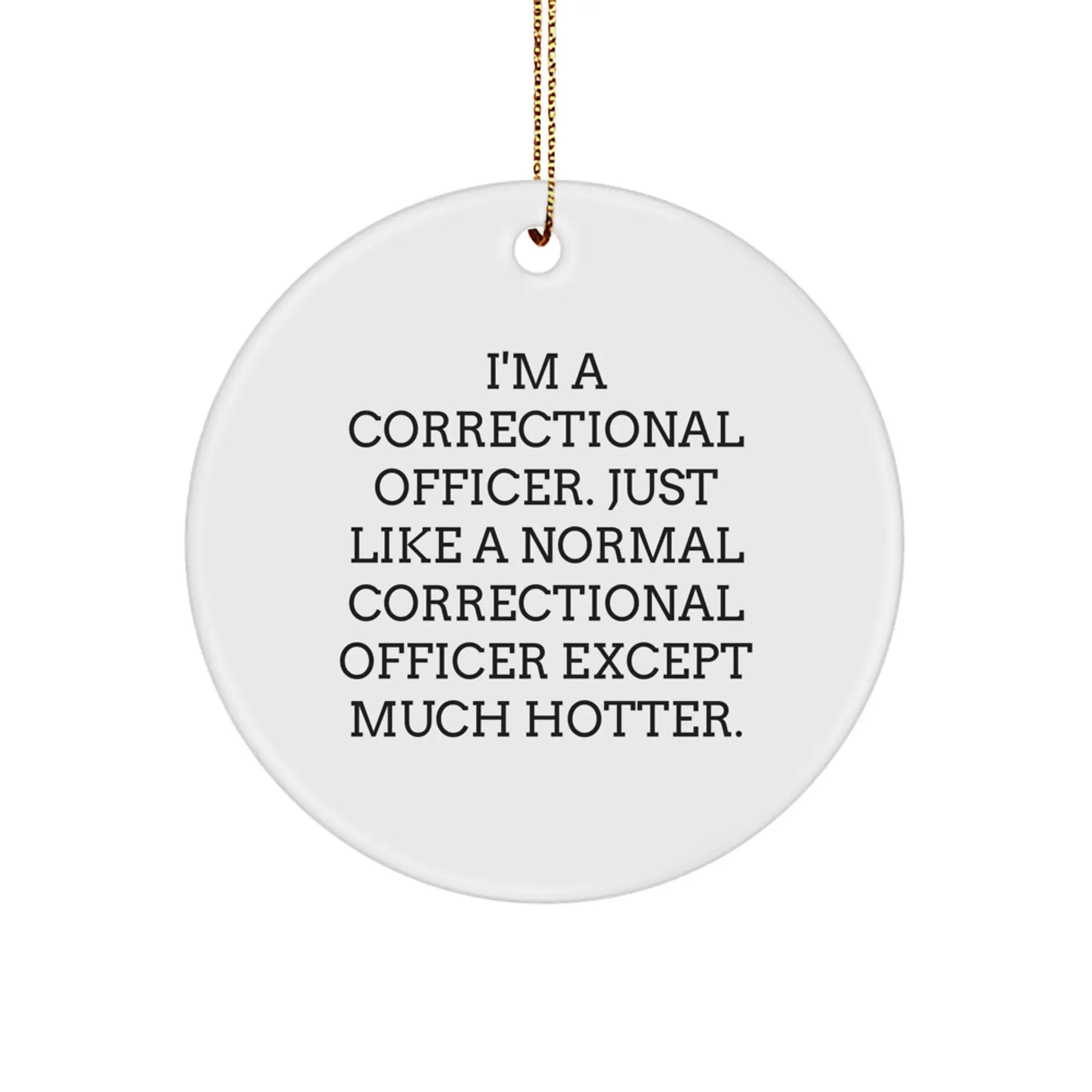 Funny Correctional Officer Gifts for Men, Women, Friends, and Family, Unique Circle Ornament from Correctional Officer, Christmas Unique Gifts - Image 1