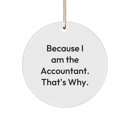 Funny Accountant Gifts from Family, Christmas Unique Circle Ornaments for Office Desk with Because I Am The Accountant That's Why Quote - Image 1