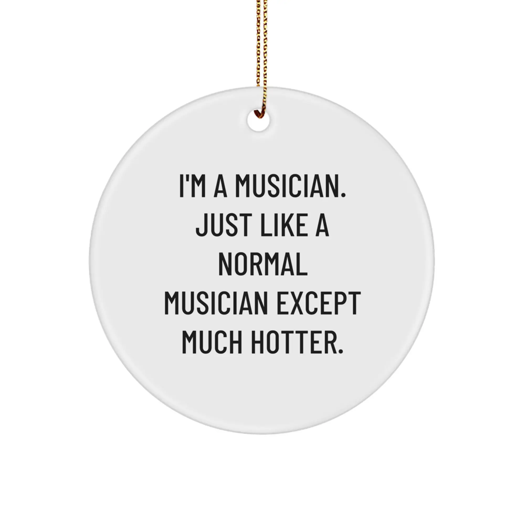 Funny Musician Gifts from Men - 'I'm A Musician. Just Like A Normal Musician Except Much Hotter.' Christmas Unique Circle Ornament for Musician Friends - Image 1