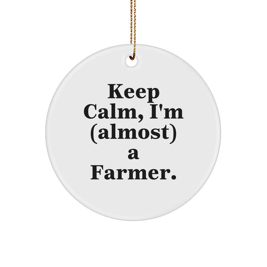 Funny Farmer Gifts for Men Women Friends Coworkers Family Christmas Unique Circle Ornament with 'Keep Calm I'm almost a Farmer' Quote - Image 1