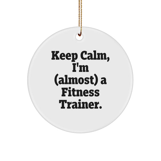 Funny Fitness Trainer Gifts from Men, Women, Friends - Keep Calm 'almost' A Trainer Circle Ornament for Christmas Unique - Image 1