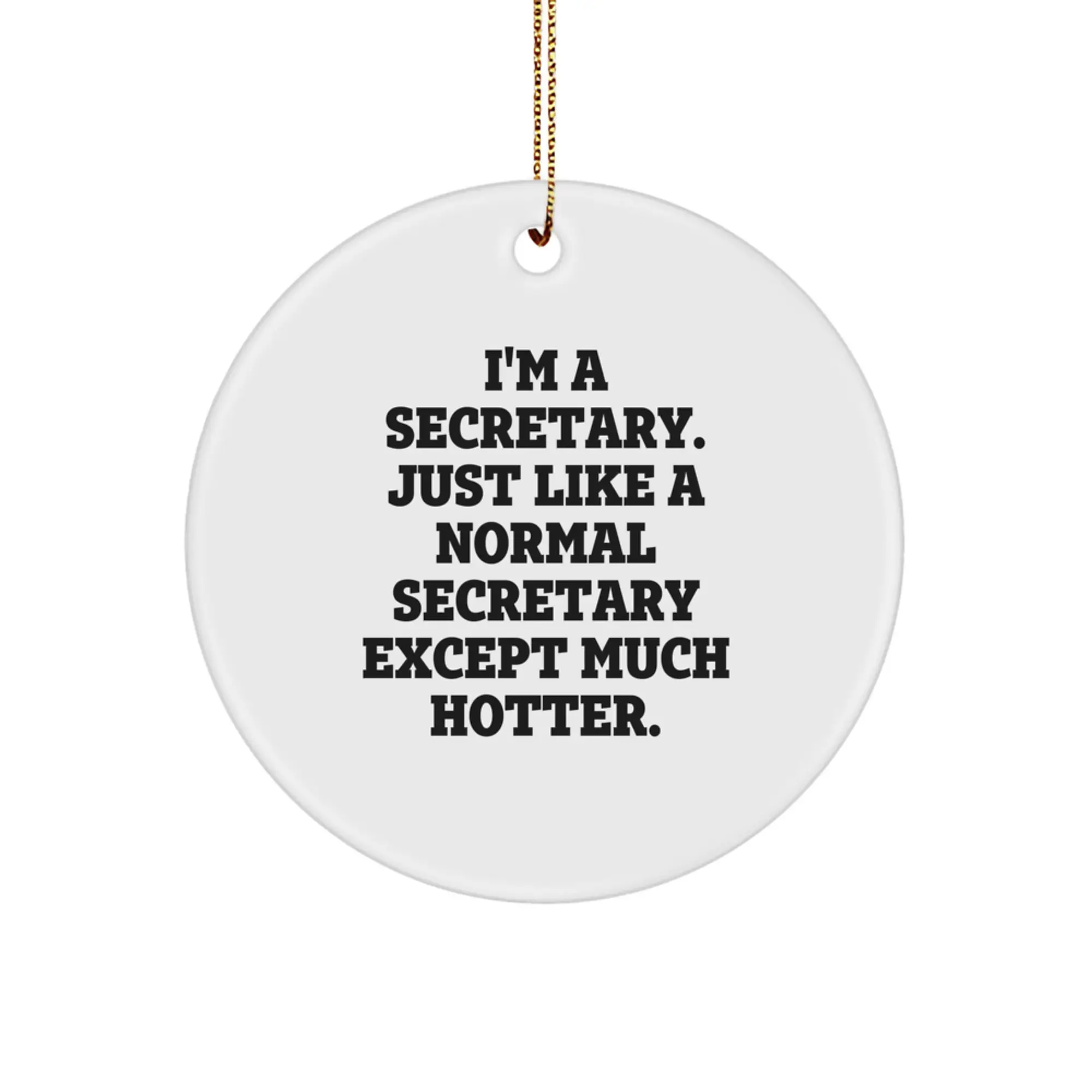 Funny Secretary Quotes Circle Ornament Christmas Unique Gifts for Men Women Friends Family - Image 1