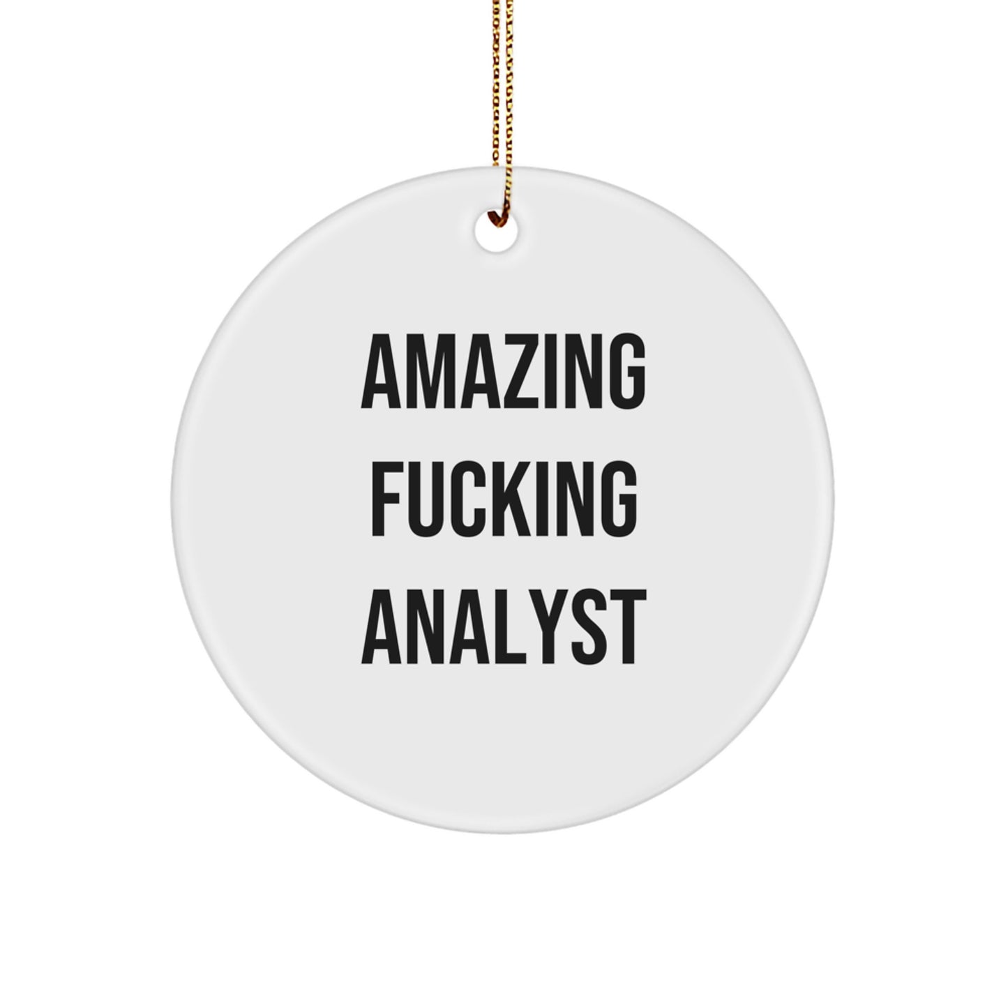 Funny Analyst Circle Ornament Gifts from Friends and Family - Image 1