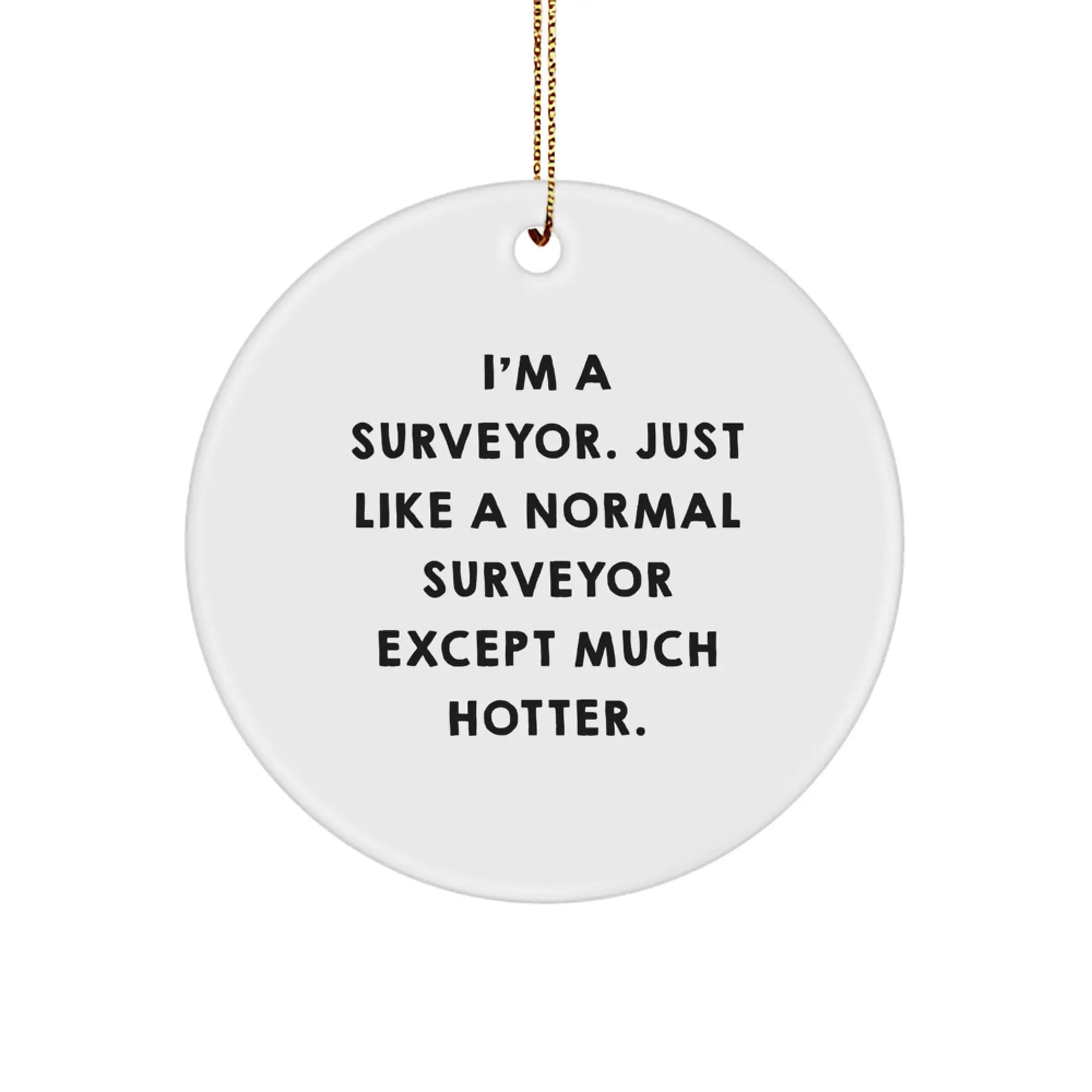 Funny Surveyor Gifts for Men Friends from Family with Surveyor Circle Ornament - 'I'm A Surveyor. Just Like A Normal Surveyor Except Much Hotter.' - Image 1