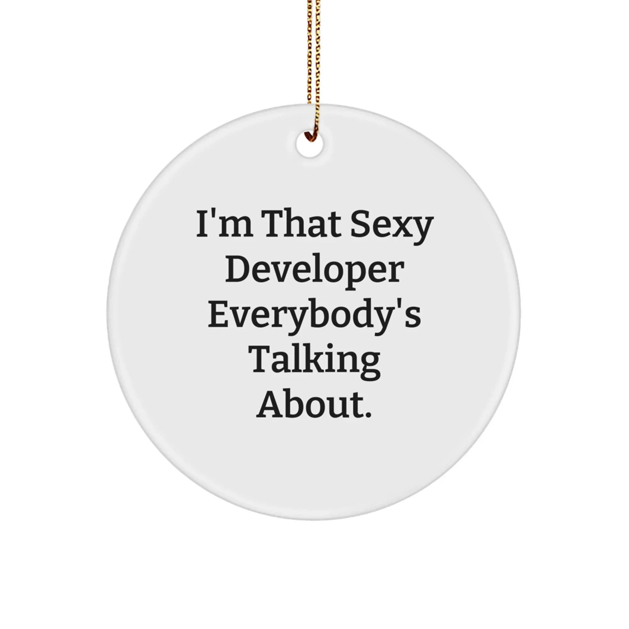 Sexy Developer Gifts, Funny Developer Circle Ornament, Christmas Unique Gifts from Friends to Developer