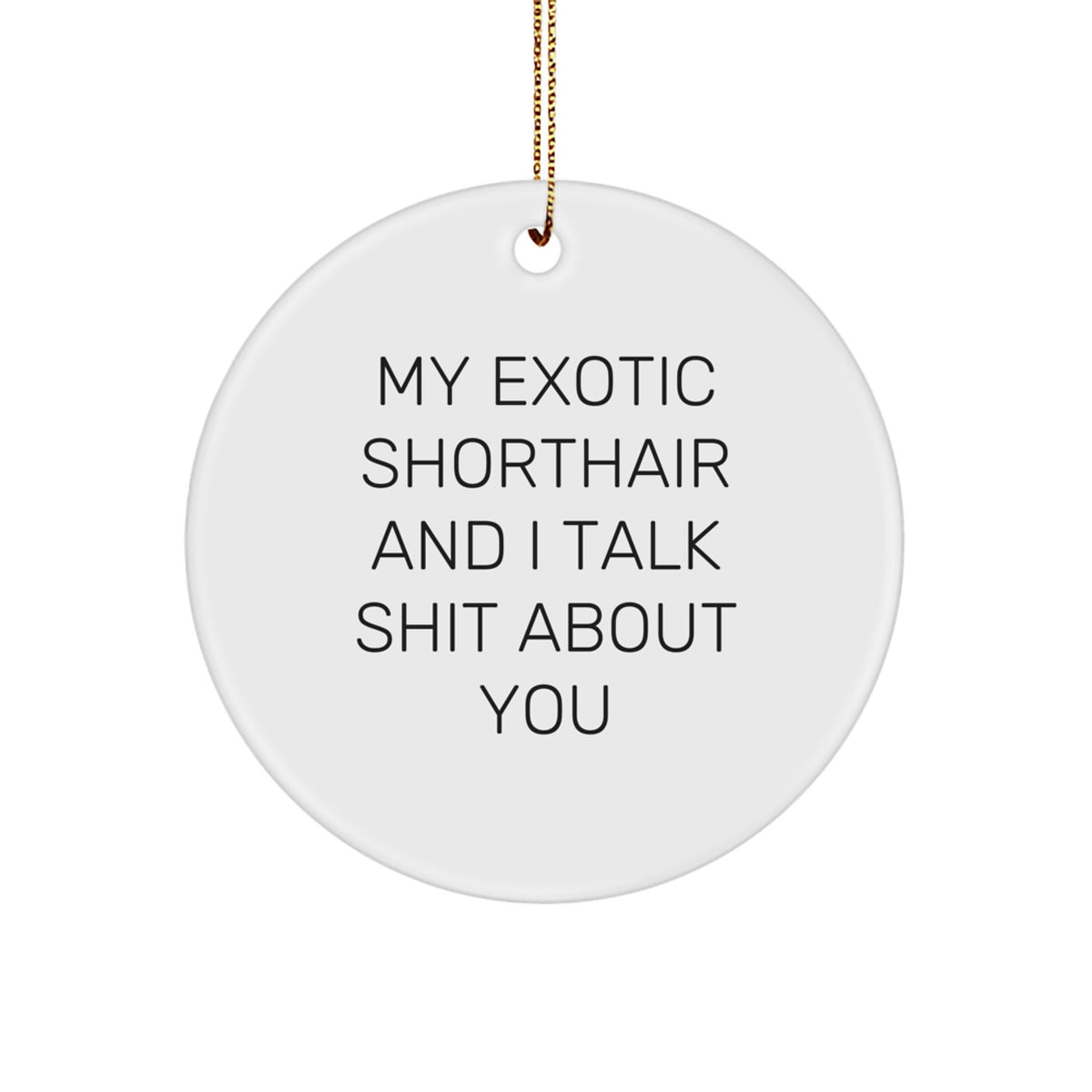 Christmas Gift Cheeky Exotic Shorthair Cat Ornament for Teens - Surprise - Image 1