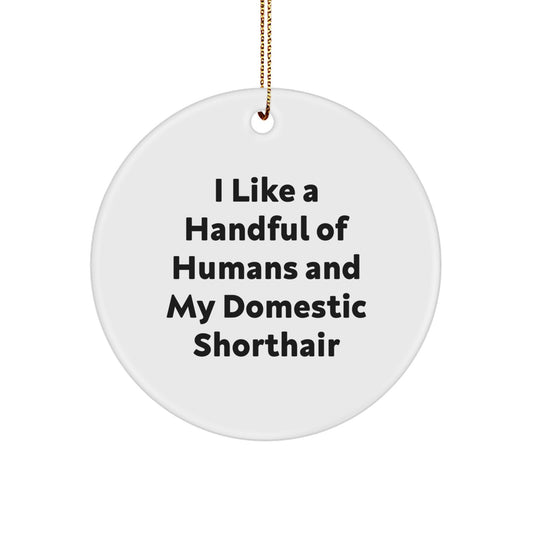 Domestic Shorthair Cat Gifts for Friends - I Like A Handful Of Humans And My Domestic Shorthair Christmas Ornament - Image 1