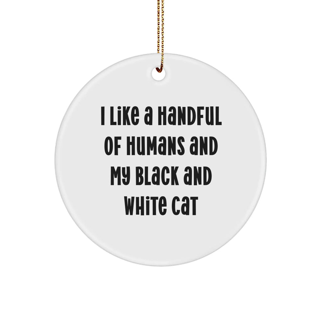 Funny Black and White Cat Christmas Ornaments- I Like A Handful Of Humans And My Black And White Cat