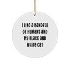 Funny Black and White Cat Christmas Ornaments- I Like A Handful Of Humans And My Black And White Cat