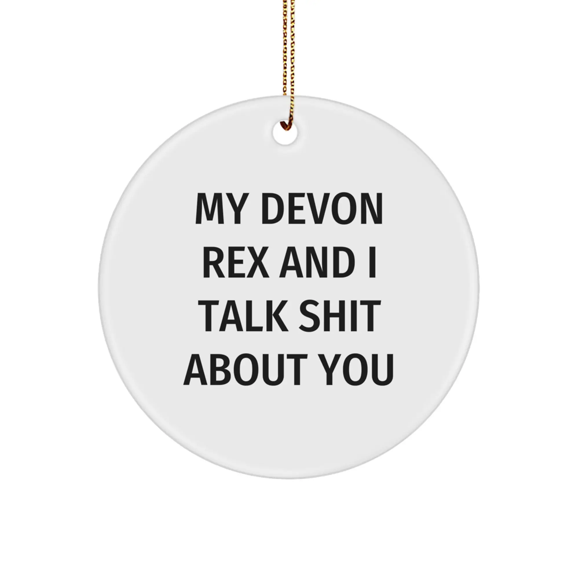 Funny Devon Rex Cat Gifts from Friends for Christmas Circle Ornament with My Devon Rex And I Talk Shit About You Quote - Image 1