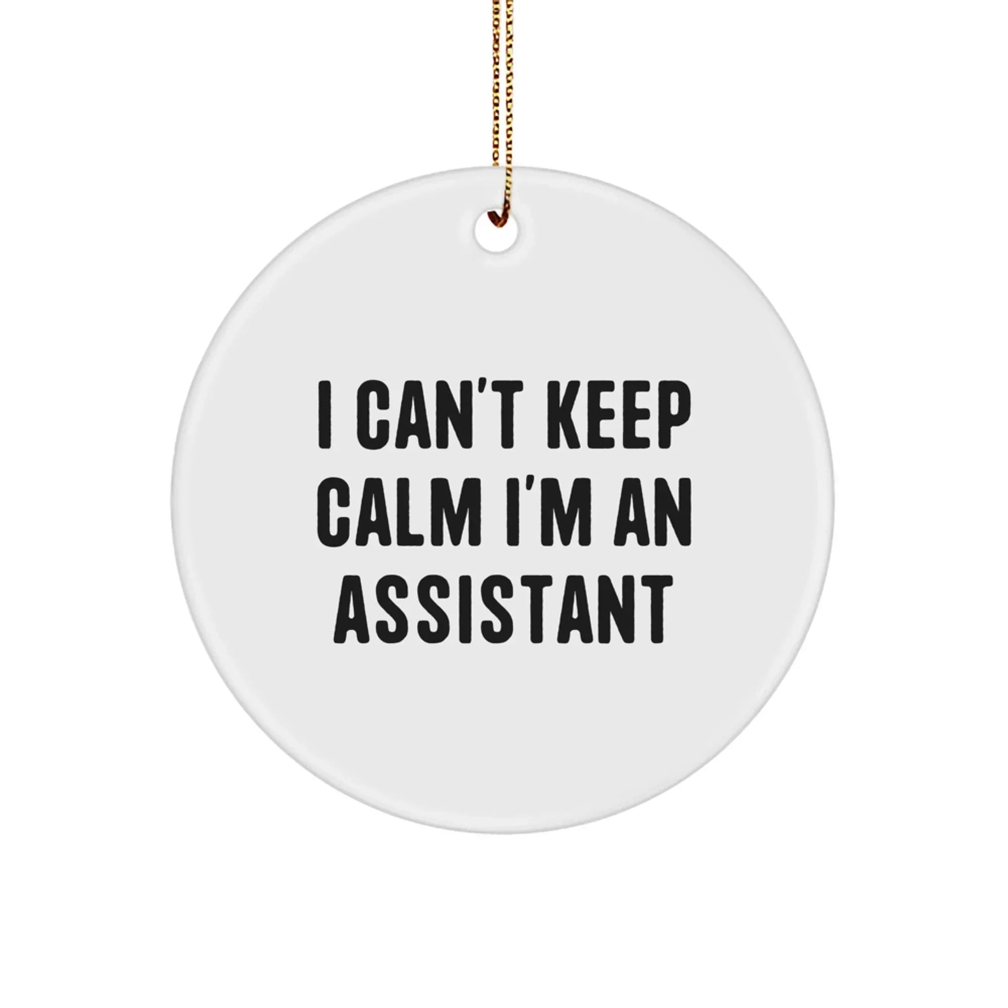 Funny Assistant Circle Ornament Gifts from Friends to Assistants - 'I Can't Keep Calm I'm An Assistant' Christmas Unique Gifts