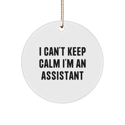 Funny Assistant Circle Ornament Gifts from Friends to Assistants - 'I Can't Keep Calm I'm An Assistant' Christmas Unique Gifts - Image 1