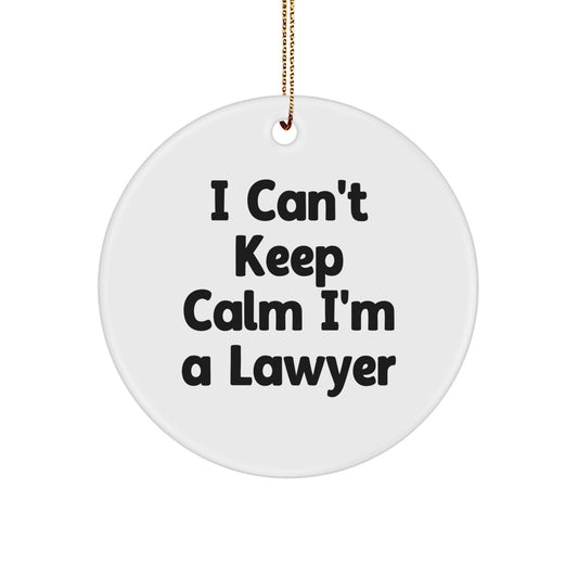 Funny Lawyer Gifts for Men Women from Friends Coworkers Family - I Can't Keep Calm - Image 1