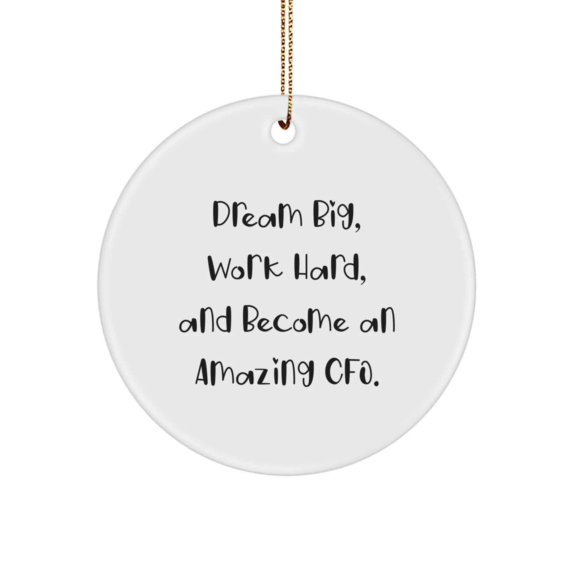Funny CFO Gifts from Men to CFO Friends - Dream Big Work Hard Christmas Unique Circle Ornaments for CFO Office Decor