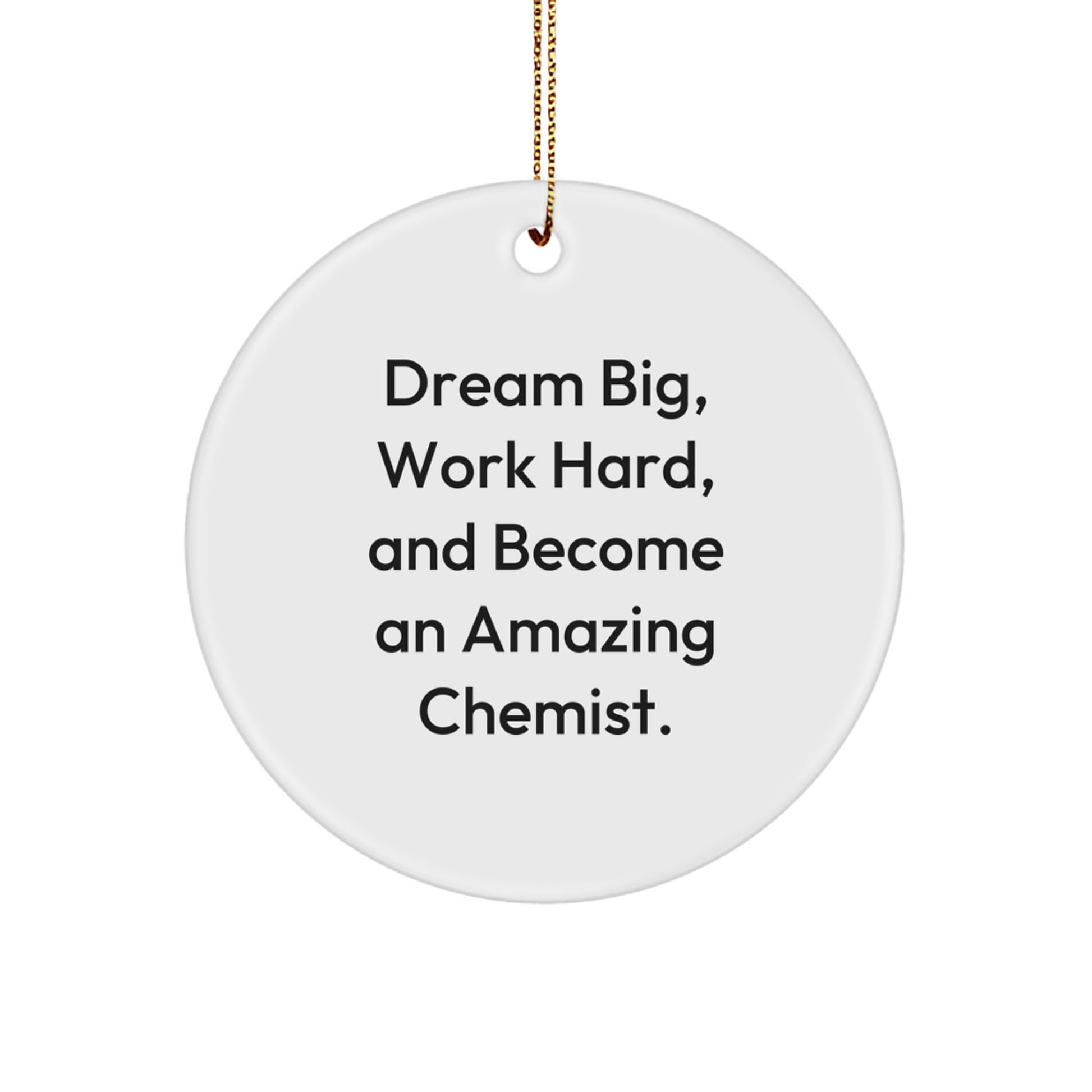Funny Inspirational Gift for Chemist Men - 'Dream Big Work Hard' Circle Ornament Gifts from Friends, Family, Coworkers - Image 1