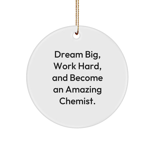 Funny Inspirational Gift for Chemist Men - 'Dream Big Work Hard' Circle Ornament Gifts from Friends, Family, Coworkers - Image 1