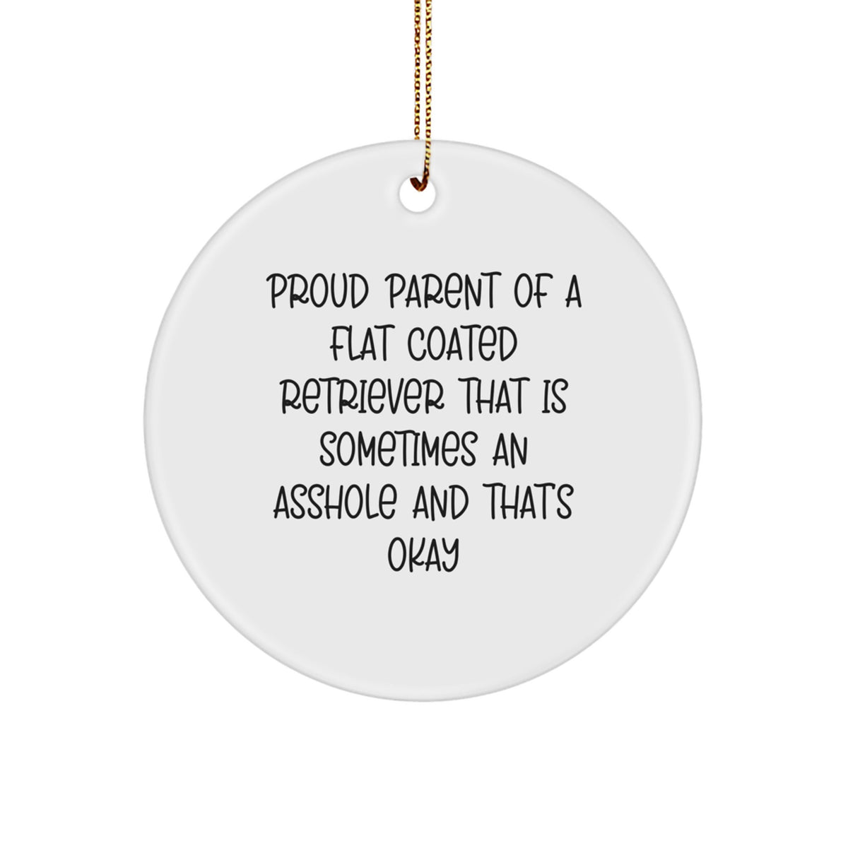 Favorite Flat Coated Retriever Christmas Ornament Gift - Sometimes An - Image 1