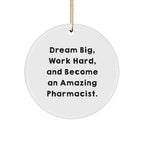 Inspirational Pharmacist Gifts for Christmas - 'Dream Big, Work Hard, And Become An Amazing Pharmacist.' Circle Ornament from Friends and Family
