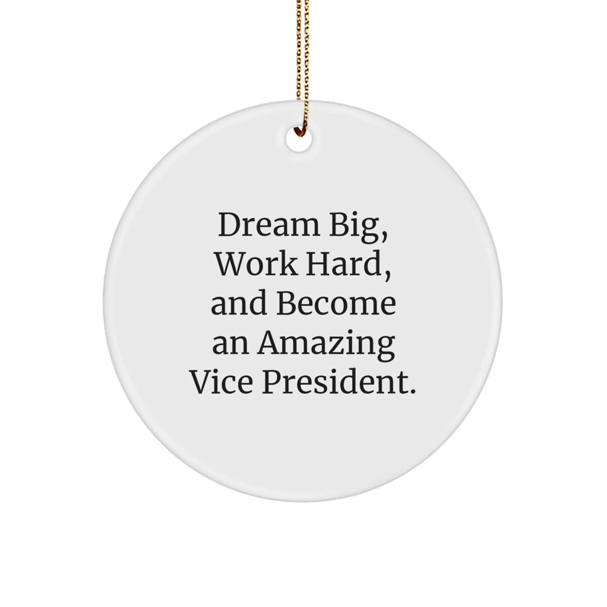 Funny Vice President Gifts from Friends for Vice President - Inspirational Christmas Unique Circle Ornaments with 'Dream Big, Work Hard, And Become An Amazing Vice President.' Quote