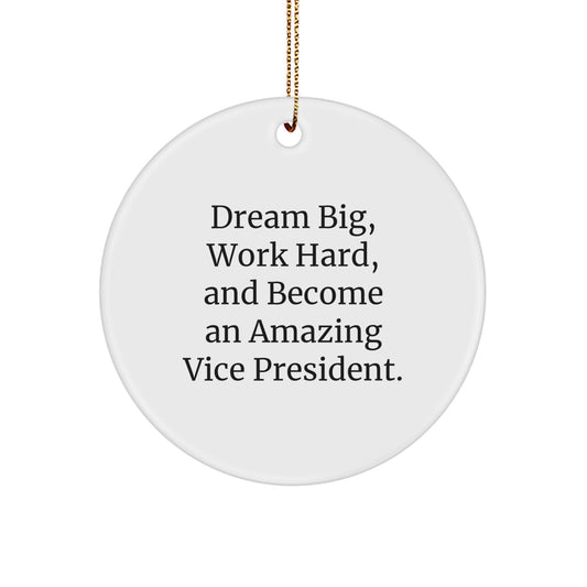 Funny Vice President Gifts from Friends for Vice President - Inspirational Christmas Unique Circle Ornaments with 'Dream Big, Work Hard, And Become An Amazing Vice President.' Quote - Image 1