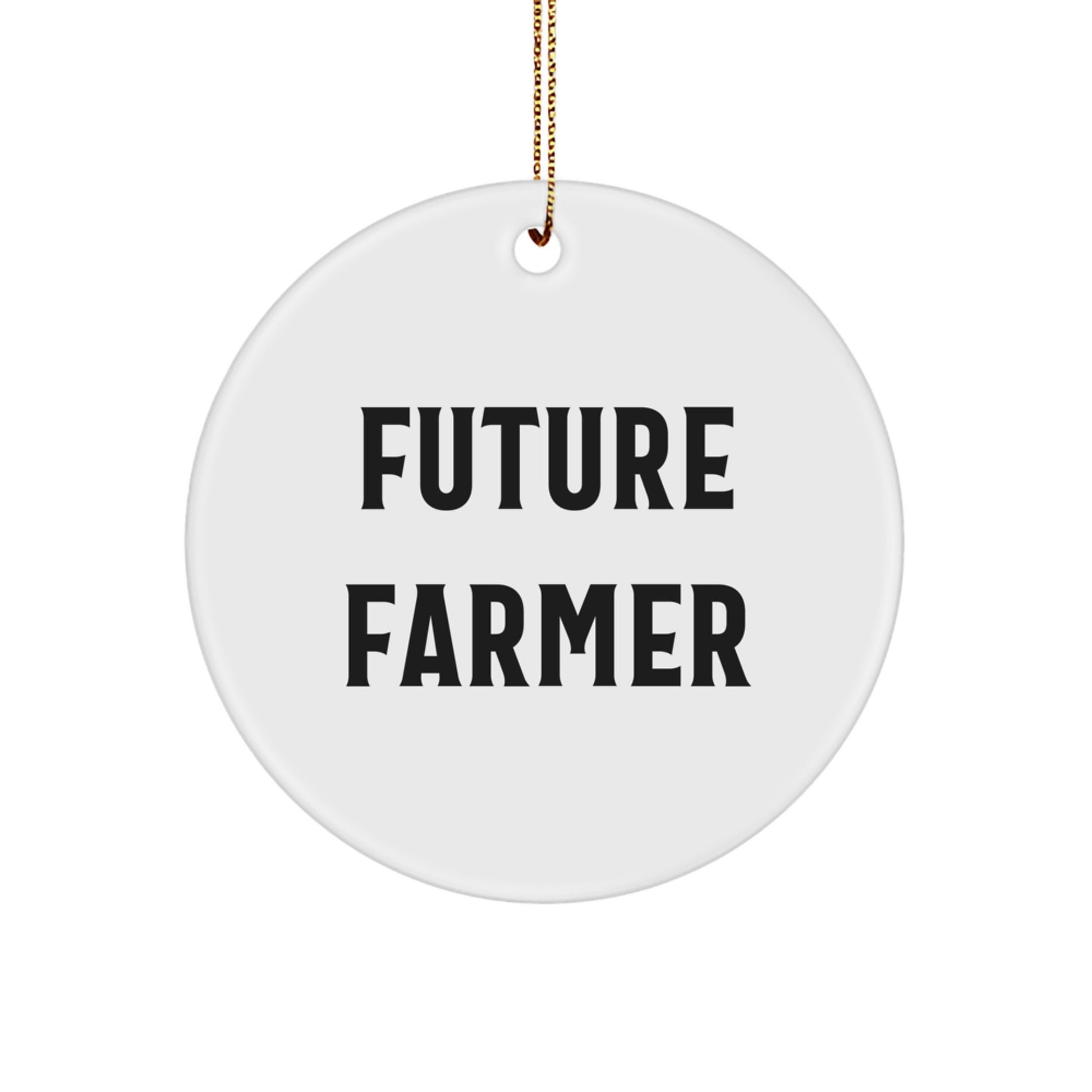 Funny Farmer Gifts for Men, Gifts from Friends, Circle Ornament with 'Future Farmer' Quote, Christmas Unique Gifts - Image 1
