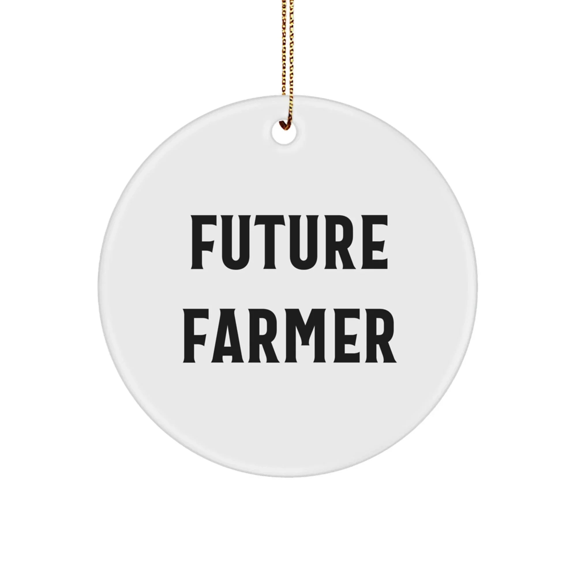 Funny Farmer Gifts for Men, Gifts from Friends, Circle Ornament with 'Future Farmer' Quote, Christmas Unique Gifts