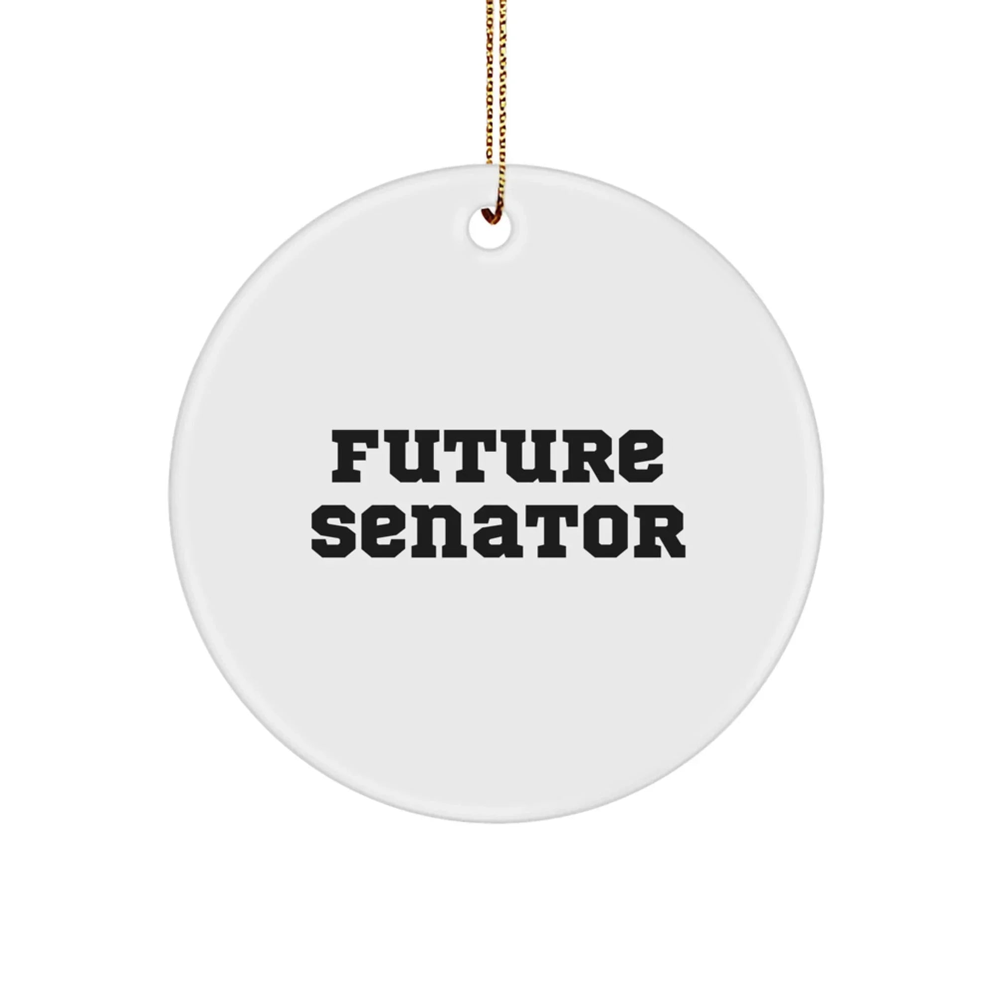 Senator Circle Ornament Gifts for Future Senators, Funny Inspirational Quote, Christmas Decorations
