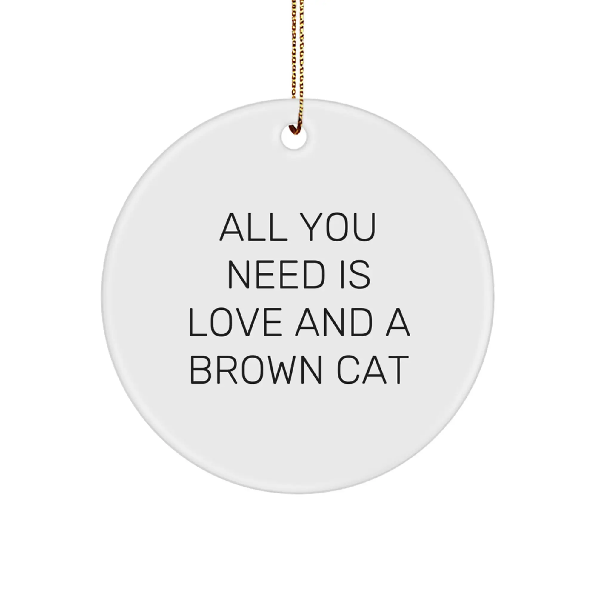 Funny Brown Cat Circle Ornament Gifts from Family at Christmas - Image 1