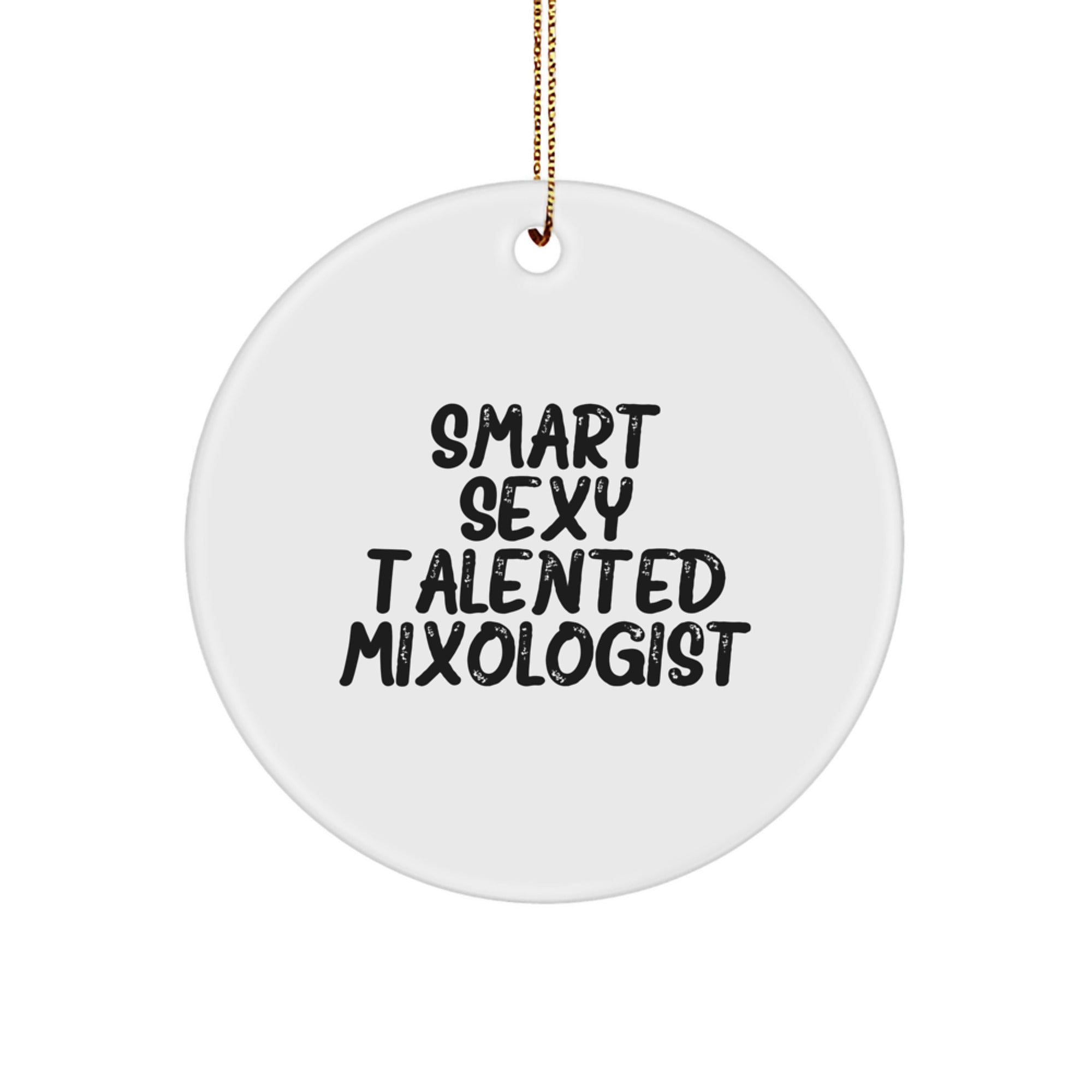 Gifts from Friends for the Smart Sexy Talented Mixologist - Funny Mixologist Christmas Unique Gift, Circle Ornament for Men Women Friends Family, Unique Gift Ideas for the Holiday Season