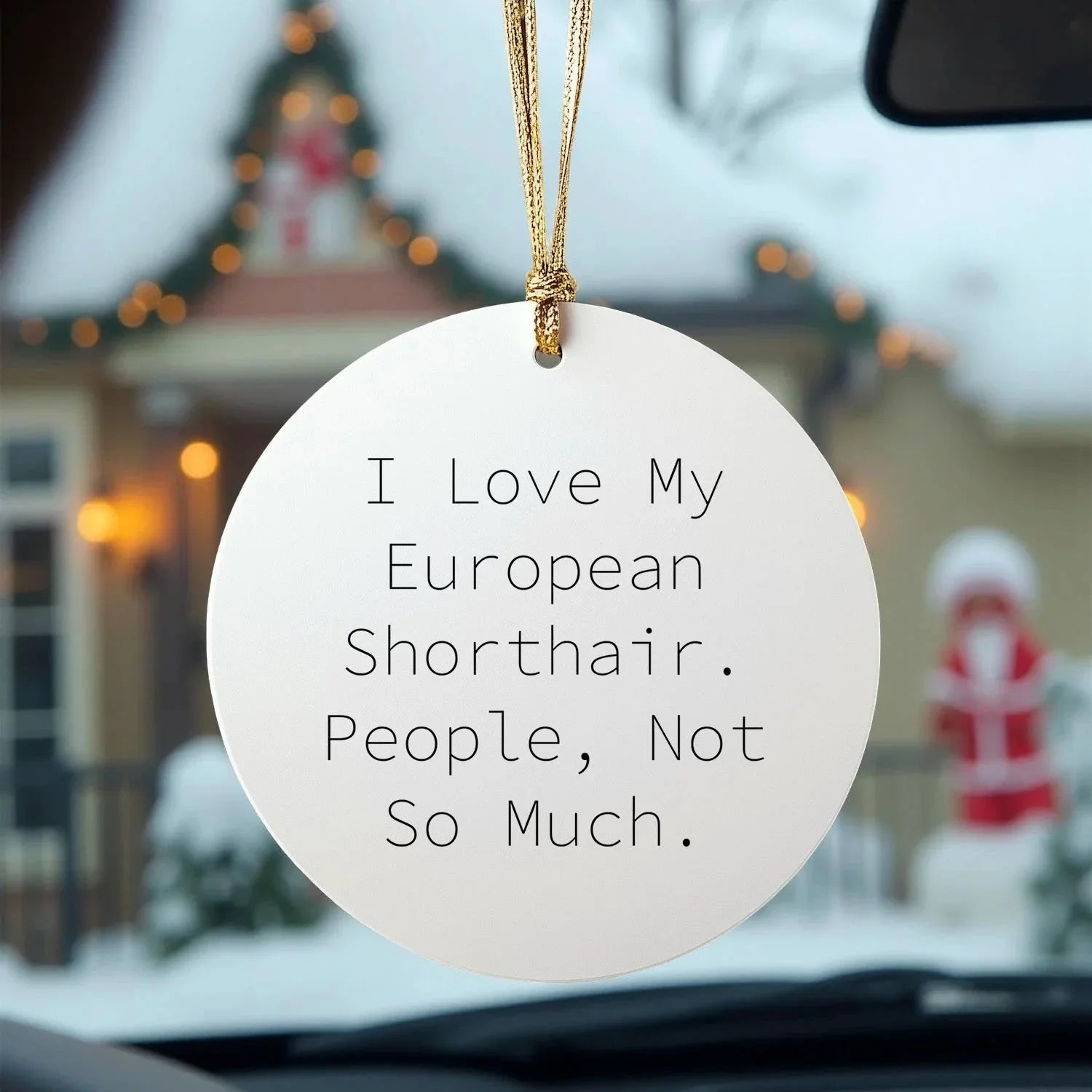 European Shorthair Cat Lover Gifts from Friends, Cute Circle Ornament for Christmas - 'I Love My European Shorthair. People, Not So Much.'