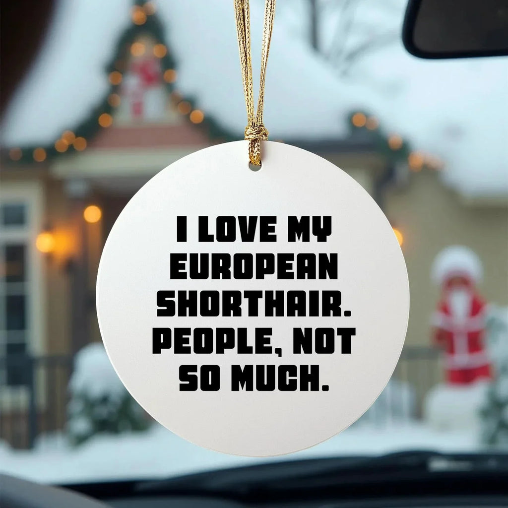 I Love My European Shorthair Cat Gifts from Friends for Christmas Unique Circle Ornaments