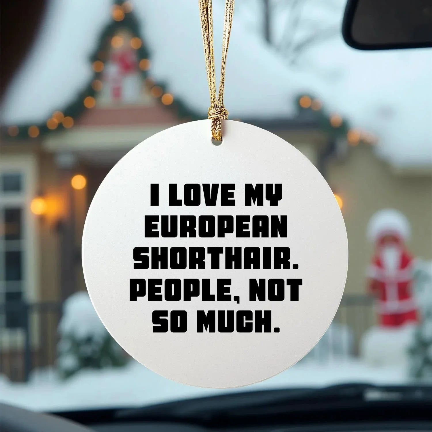 I Love My European Shorthair Cat Gifts from Friends for Christmas Unique Circle Ornaments
