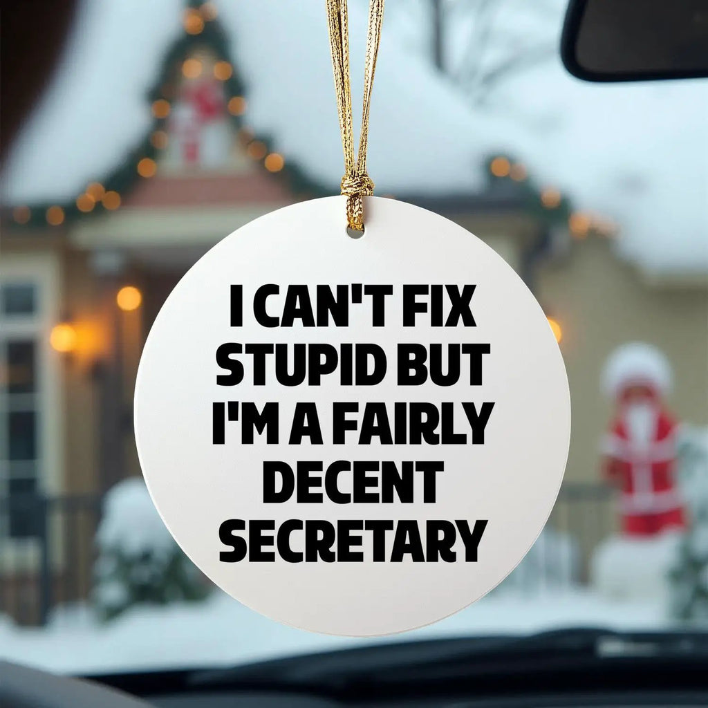 Secretary Ornament I Can't Fix Stupid But Decent Gift - Mallard Moon
