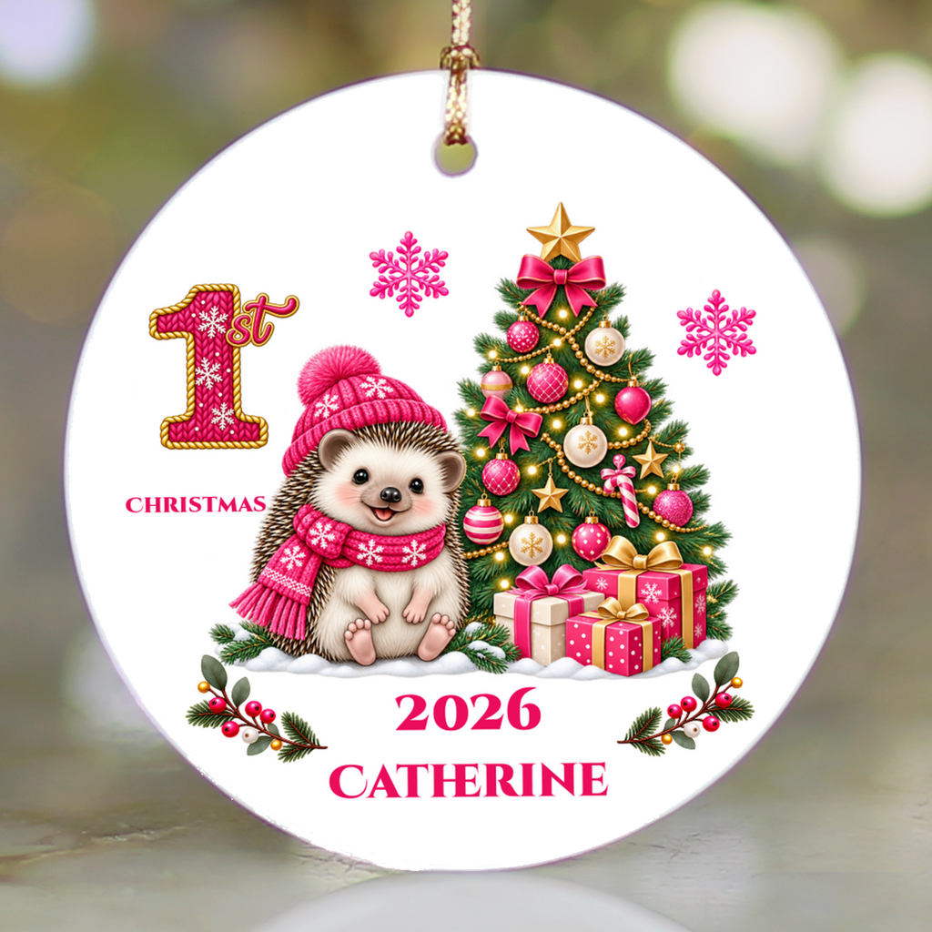 Hedgehog Baby Personalized Christmas Ornament, Baby's 1st 2nd 3rd Christmas, Custom Name Year Ceramic Keepsake