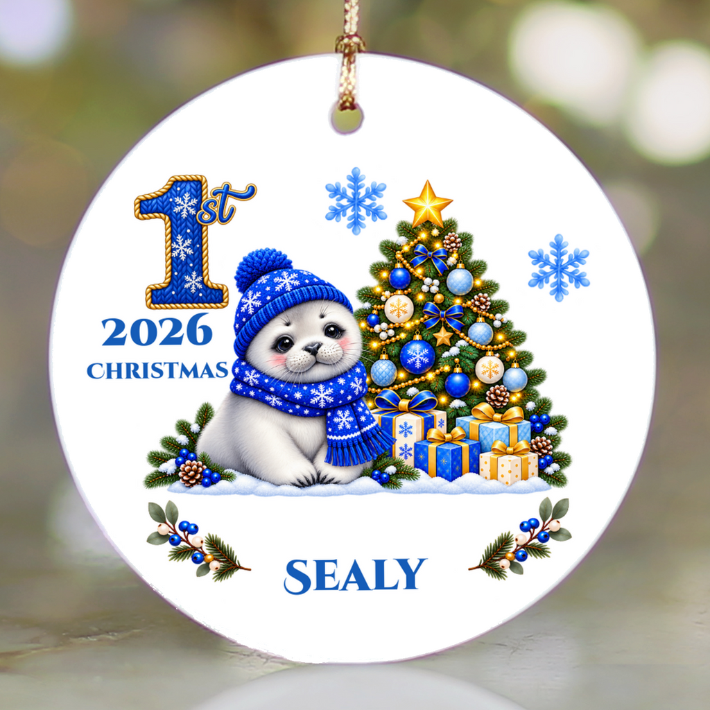 Seal Pup Personalized Baby's 1st 2nd 3rd Christmas Ceramic Keepsake Ornament, Custom Name Year, Boy Gift