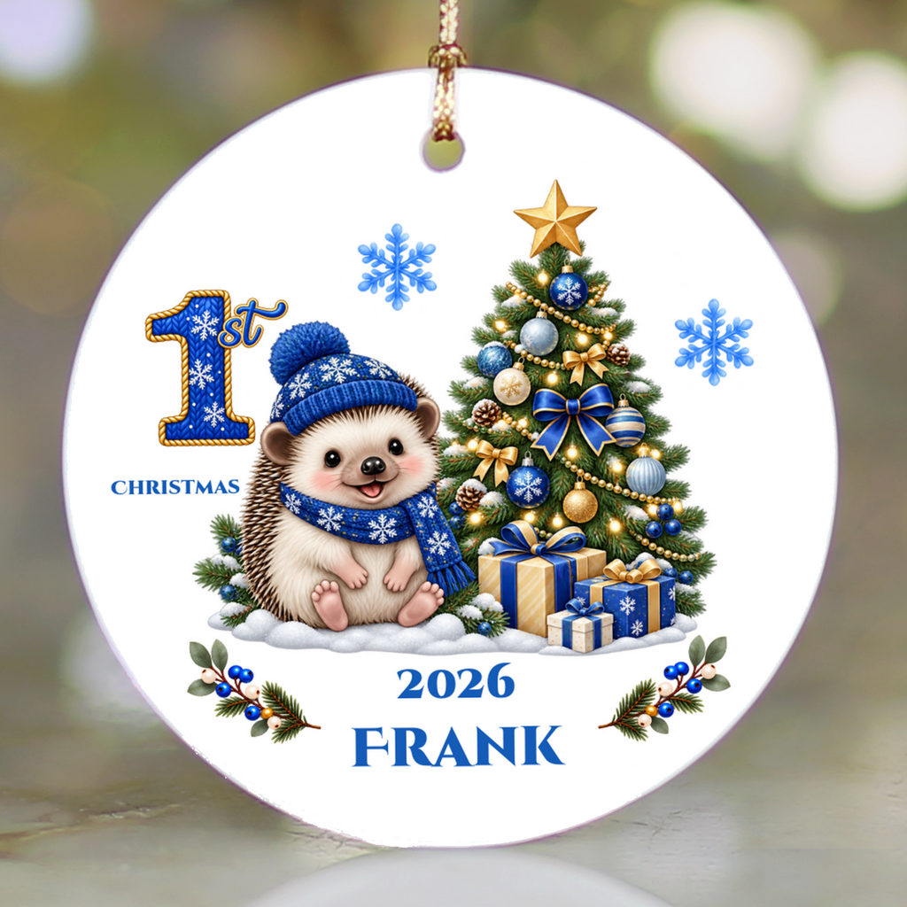 Hedgehog Baby Personalized Christmas Ornament, Baby's 1st 2nd 3rd Christmas, Custom Name Year Ceramic Keepsake