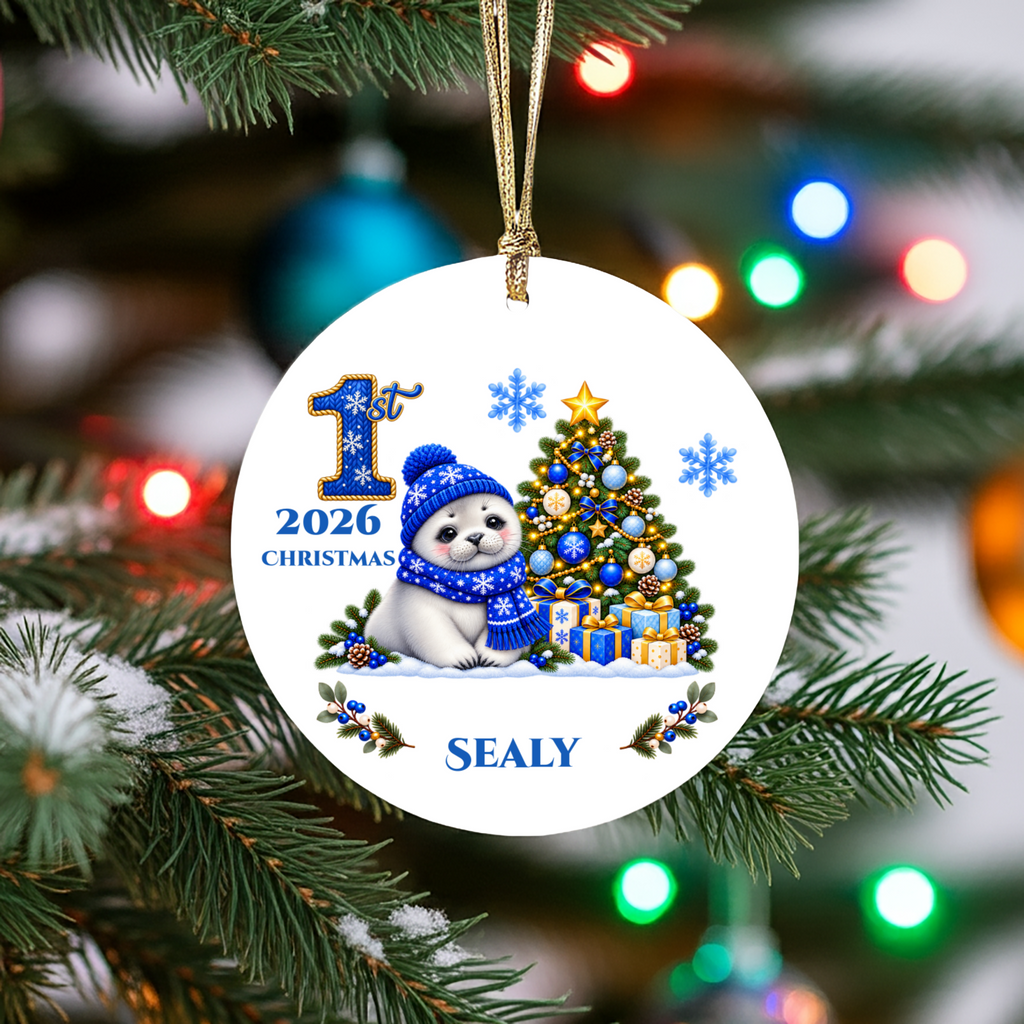 Seal Pup Personalized Baby's 1st 2nd 3rd Christmas Ceramic Keepsake Ornament, Custom Name Year, Boy Gift